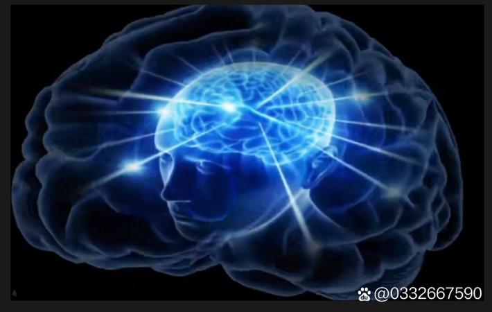追踪:某艺人税务风波持续发酵,关联公司被查封
